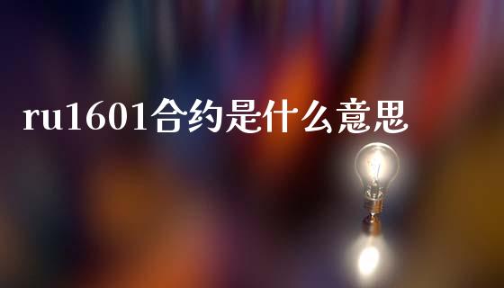ru1601合约是什么意思_https://wap.fcdydaikuan.com_国际投资_第1张