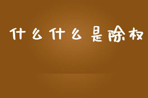 什么什么是除权_https://wap.fcdydaikuan.com_金融机构_第1张
