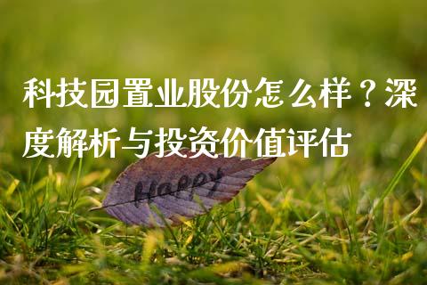 科技园置业股份怎么样？深度解析与投资价值评估_https://wap.fcdydaikuan.com_国际投资_第1张