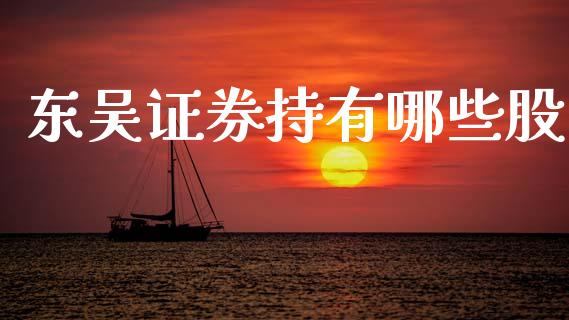 东吴证券持有哪些股_https://wap.fcdydaikuan.com_国际投资_第1张