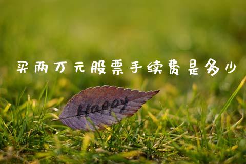 买两万元股票手续费是多少_https://wap.fcdydaikuan.com_金融机构_第1张