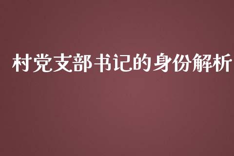 村党支部书记的身份解析_https://wap.fcdydaikuan.com_理财顾问_第1张
