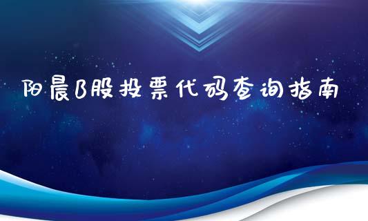 阳晨B股投票代码查询指南_https://wap.fcdydaikuan.com_投资策略_第1张