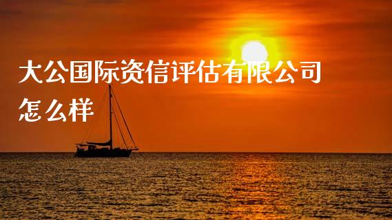 大公国际资信评估有限公司怎么样_https://wap.fcdydaikuan.com_新股数据_第1张