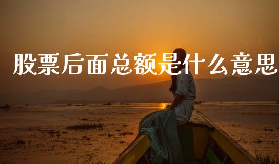 股票后面总额是什么意思_https://wap.fcdydaikuan.com_新股数据_第1张