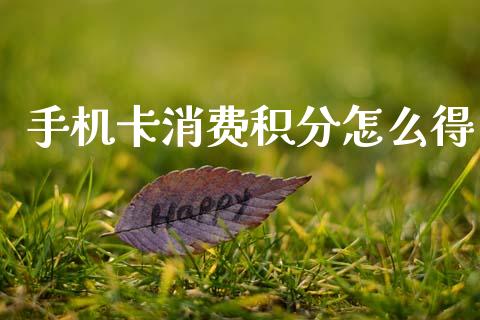 手机卡消费积分怎么得_https://wap.fcdydaikuan.com_期货品种_第1张