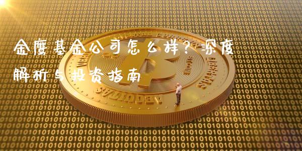 金鹰基金公司怎么样？深度解析与投资指南_https://wap.fcdydaikuan.com_期货品种_第1张