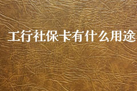 工行社保卡有什么用途_https://wap.fcdydaikuan.com_投资策略_第1张