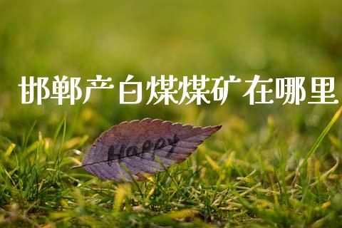 邯郸产白煤煤矿在哪里_https://wap.fcdydaikuan.com_金融机构_第1张