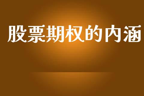 股票期权的内涵_https://wap.fcdydaikuan.com_金融机构_第1张