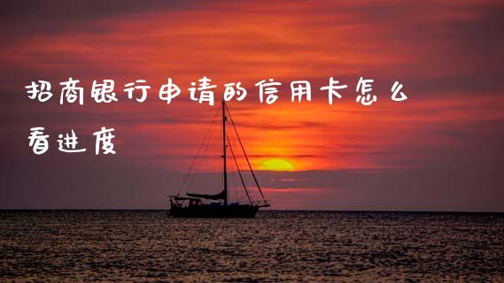 招商银行申请的信用卡怎么看进度_https://wap.fcdydaikuan.com_理财顾问_第1张