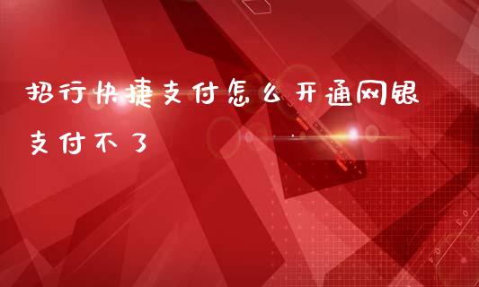 招行快捷支付怎么开通网银支付不了_https://wap.fcdydaikuan.com_期货品种_第1张
