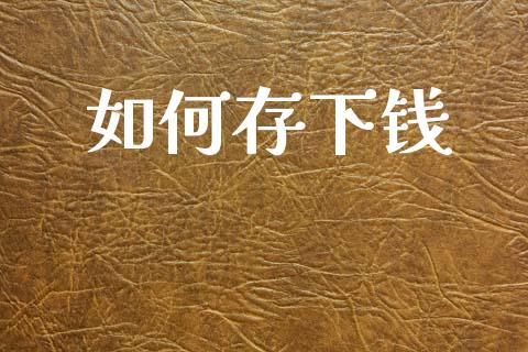 如何存下钱_https://wap.fcdydaikuan.com_期货品种_第1张