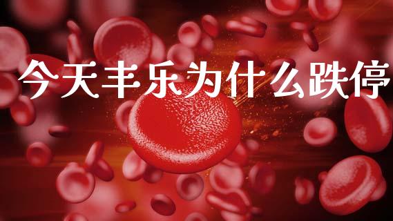 今天丰乐为什么跌停_https://wap.fcdydaikuan.com_期货品种_第1张