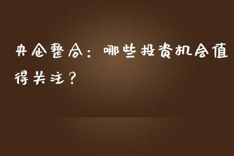 央企整合:哪些投资机会值得关注?_金融机构_第1张_国际投资_理财顾问_投资策略_金融机构 央企整合:哪些投资机会值得关注?_https://wap.fcdydaikuan.com_金融机构_第1张