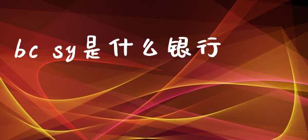 bc sy是什么银行_https://wap.fcdydaikuan.com_国际投资_第1张