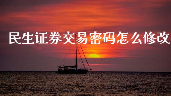 民生证券交易密码怎么修改_https://wap.fcdydaikuan.com_金融机构_第1张