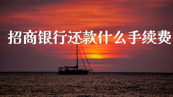 招商银行还款什么手续费_https://wap.fcdydaikuan.com_投资策略_第1张