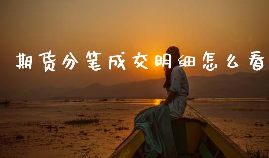 期货分笔成交明细怎么看_https://wap.fcdydaikuan.com_理财顾问_第1张