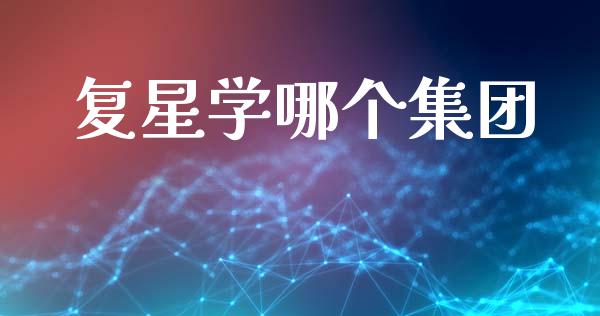复星学哪个集团_https://wap.fcdydaikuan.com_国际投资_第1张