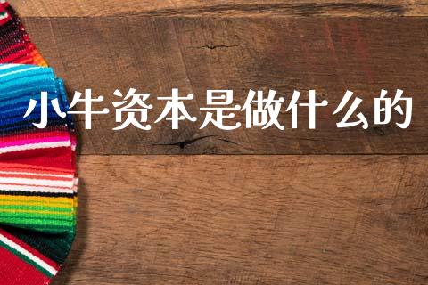 小牛资本是做什么的_https://wap.fcdydaikuan.com_新股数据_第1张