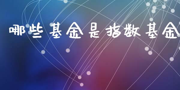 哪些基金是指数基金_https://wap.fcdydaikuan.com_国际投资_第1张
