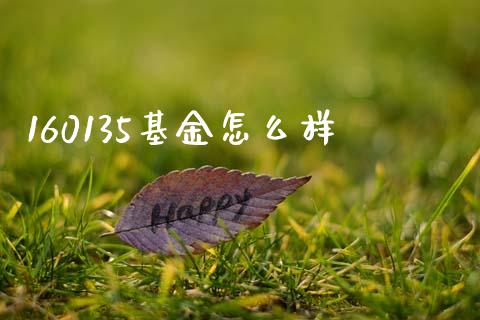 160135基金怎么样_https://wap.fcdydaikuan.com_投资策略_第1张