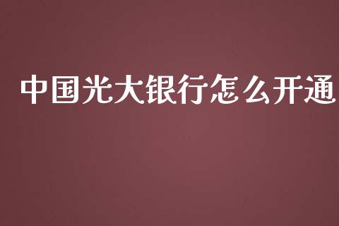 中国光大银行怎么开通_https://wap.fcdydaikuan.com_理财顾问_第1张