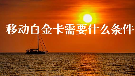 移动白金卡需要什么条件_https://wap.fcdydaikuan.com_投资策略_第1张