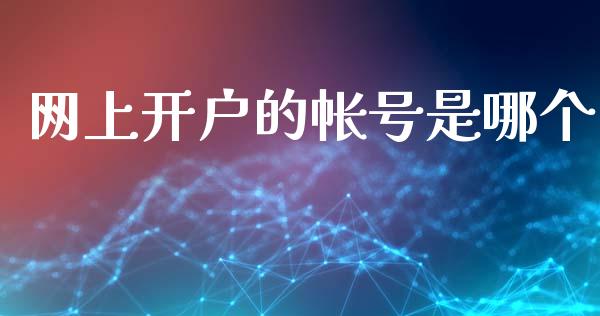 网上开户的帐号是哪个_https://wap.fcdydaikuan.com_金融机构_第1张