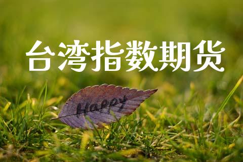 台湾指数期货_https://wap.fcdydaikuan.com_金融机构_第1张