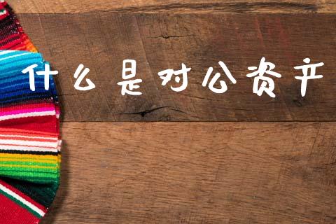 什么是对公资产_https://wap.fcdydaikuan.com_新股数据_第1张