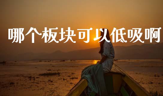 哪个板块可以低吸啊_https://wap.fcdydaikuan.com_国际投资_第1张