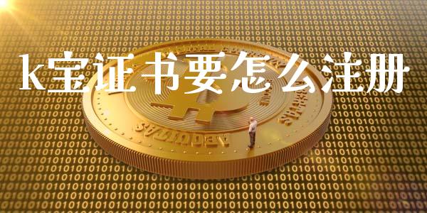 k宝证书要怎么注册_https://wap.fcdydaikuan.com_金融机构_第1张