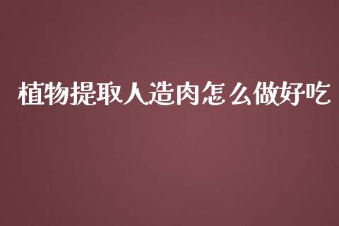 植物提取人造肉怎么做好吃_https://wap.fcdydaikuan.com_理财顾问_第1张