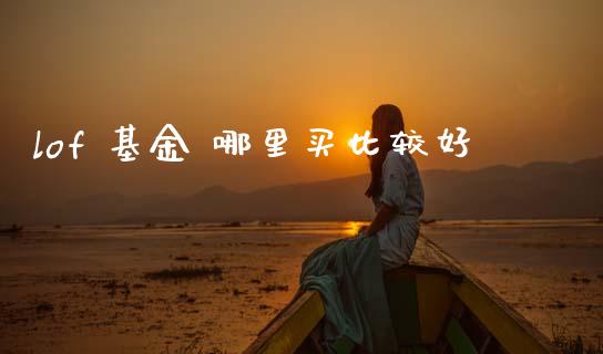lof 基金 哪里买比较好_https://wap.fcdydaikuan.com_金融机构_第1张