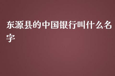东源县的中国银行叫什么名字_https://wap.fcdydaikuan.com_金融机构_第1张