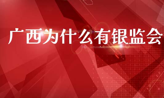 广西为什么有银监会_https://wap.fcdydaikuan.com_理财顾问_第1张
