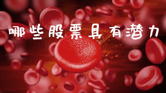 哪些股票具有潜力_https://wap.fcdydaikuan.com_金融机构_第1张