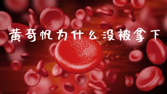 黄奇帆为什么没被拿下_https://wap.fcdydaikuan.com_国际投资_第1张