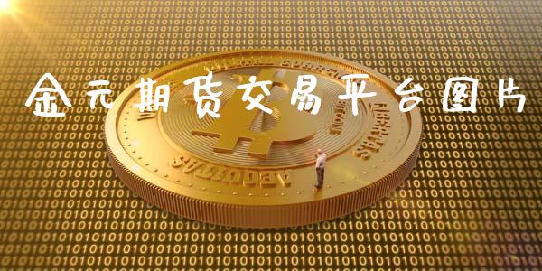 金元期货交易平台图片_https://wap.fcdydaikuan.com_期货品种_第1张