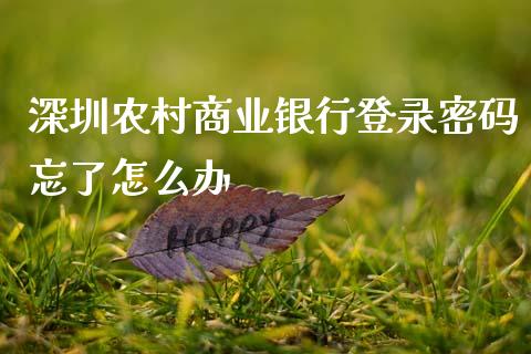 深圳农村商业银行登录密码忘了怎么办_https://wap.fcdydaikuan.com_金融机构_第1张