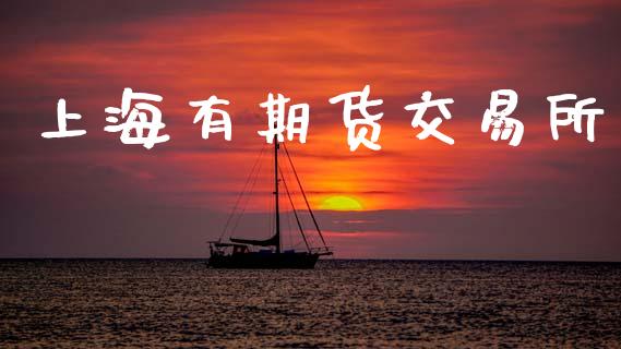 上海有期货交易所_https://wap.fcdydaikuan.com_期货品种_第1张