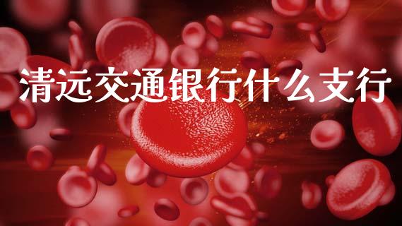 清远交通银行什么支行_https://wap.fcdydaikuan.com_国际投资_第1张