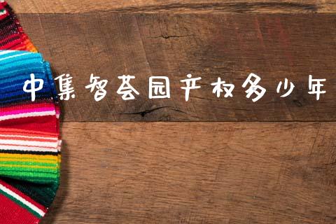 中集智荟园产权多少年_https://wap.fcdydaikuan.com_金融机构_第1张