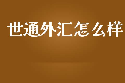 世通外汇怎么样_https://wap.fcdydaikuan.com_期货品种_第1张