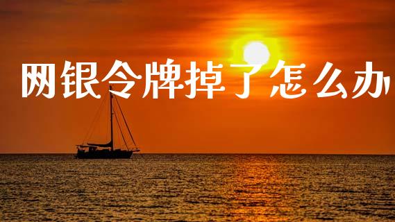 网银令牌掉了怎么办_https://wap.fcdydaikuan.com_国际投资_第1张