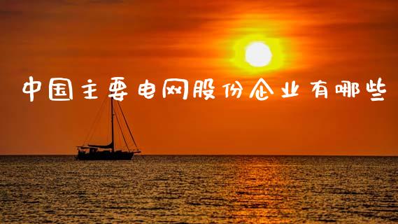 中国主要电网股份企业有哪些_https://wap.fcdydaikuan.com_金融机构_第1张