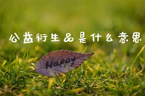 公益衍生品是什么意思_https://wap.fcdydaikuan.com_新股数据_第1张