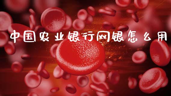 中国农业银行网银怎么用_https://wap.fcdydaikuan.com_理财顾问_第1张